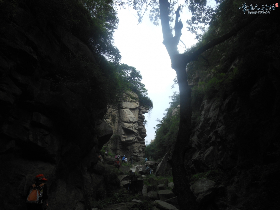 照片 067.jpg