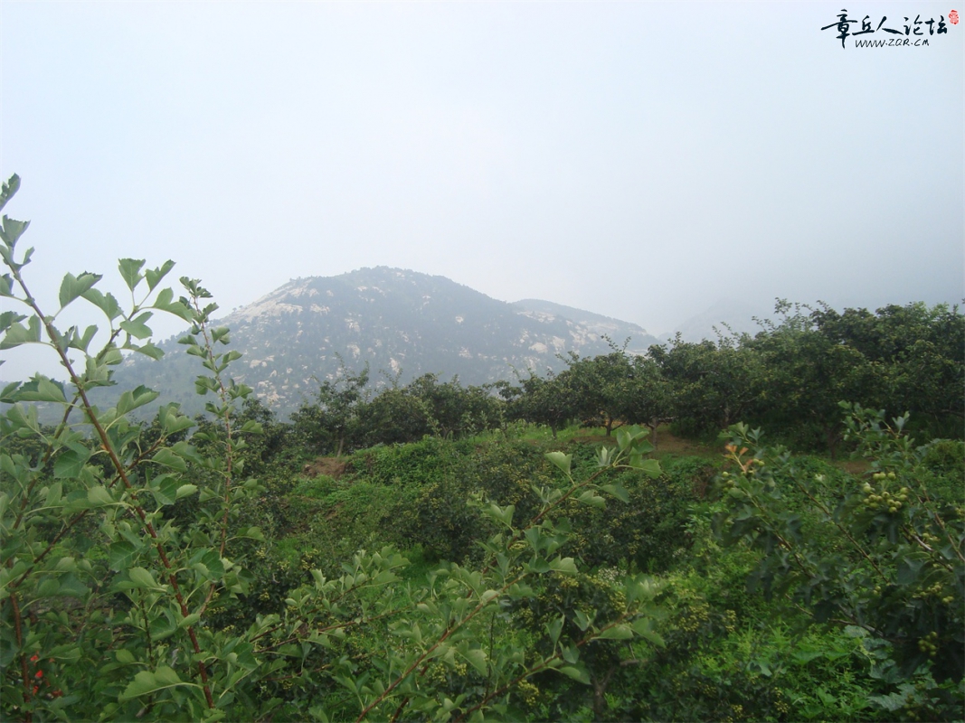 DSC07325.JPG
