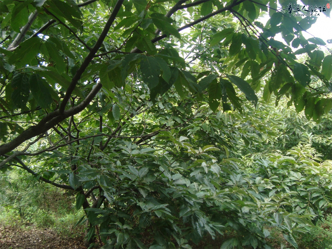 DSC07328.JPG