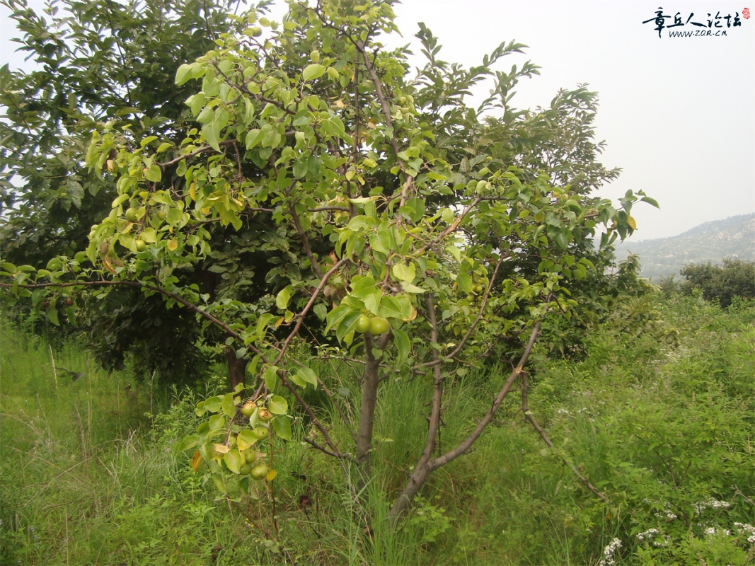 DSC07329.JPG