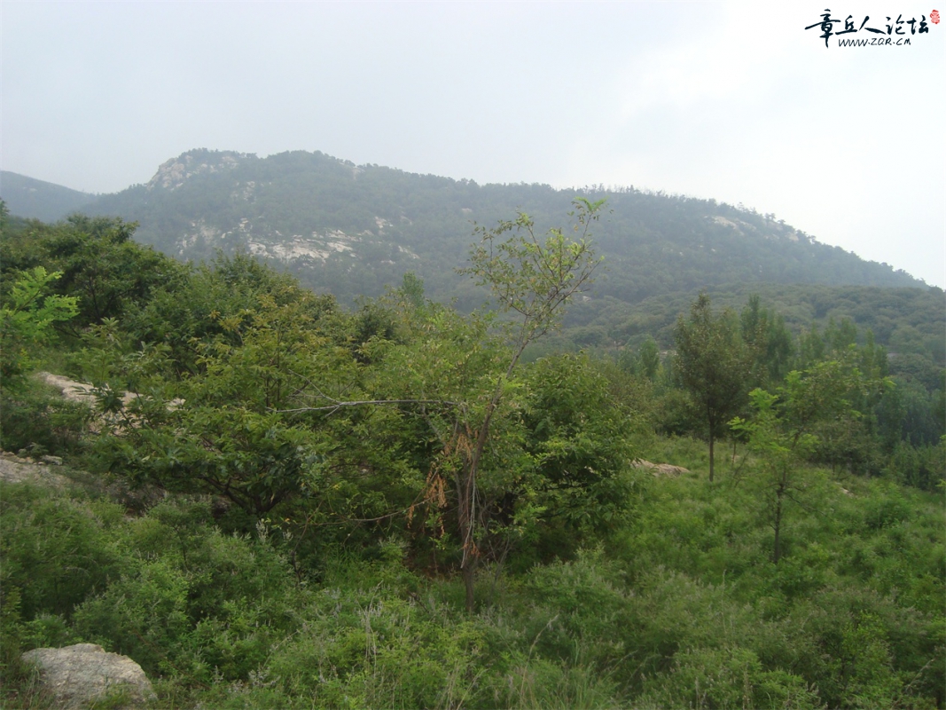 DSC07330.JPG