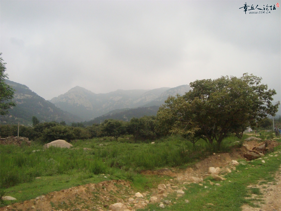DSC07334.JPG