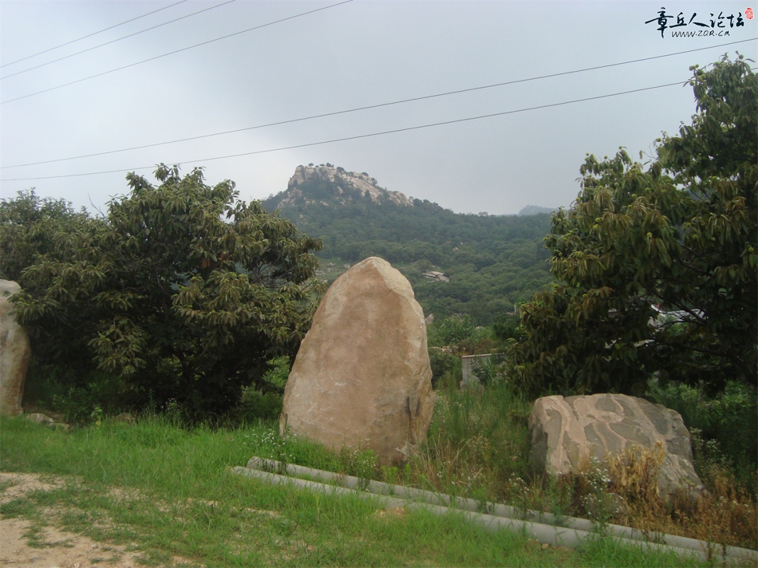 DSC07336.JPG