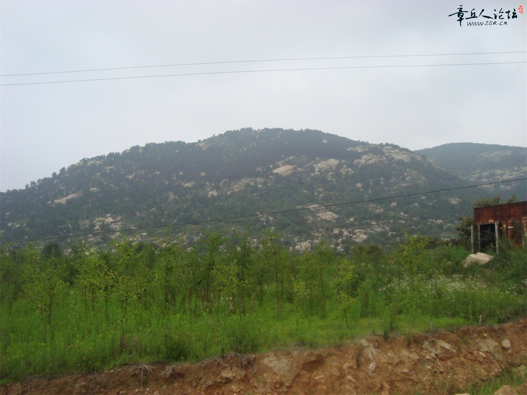 DSC07337.JPG