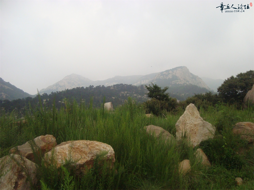 DSC07340.JPG