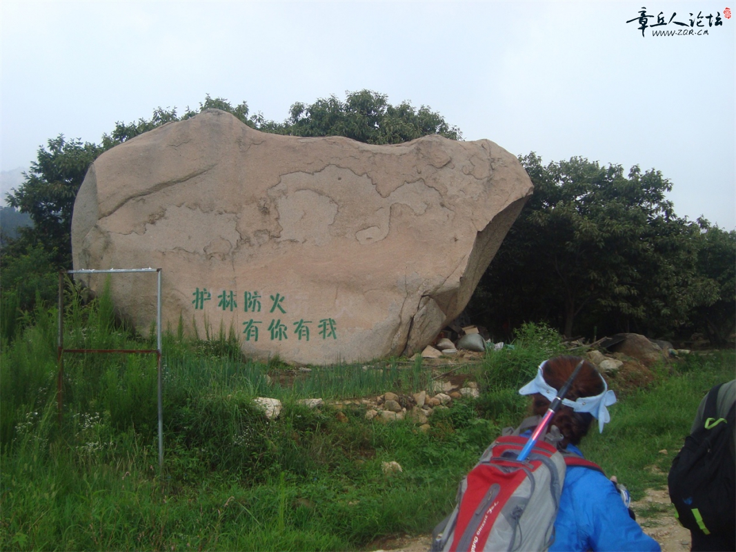 DSC07341.JPG
