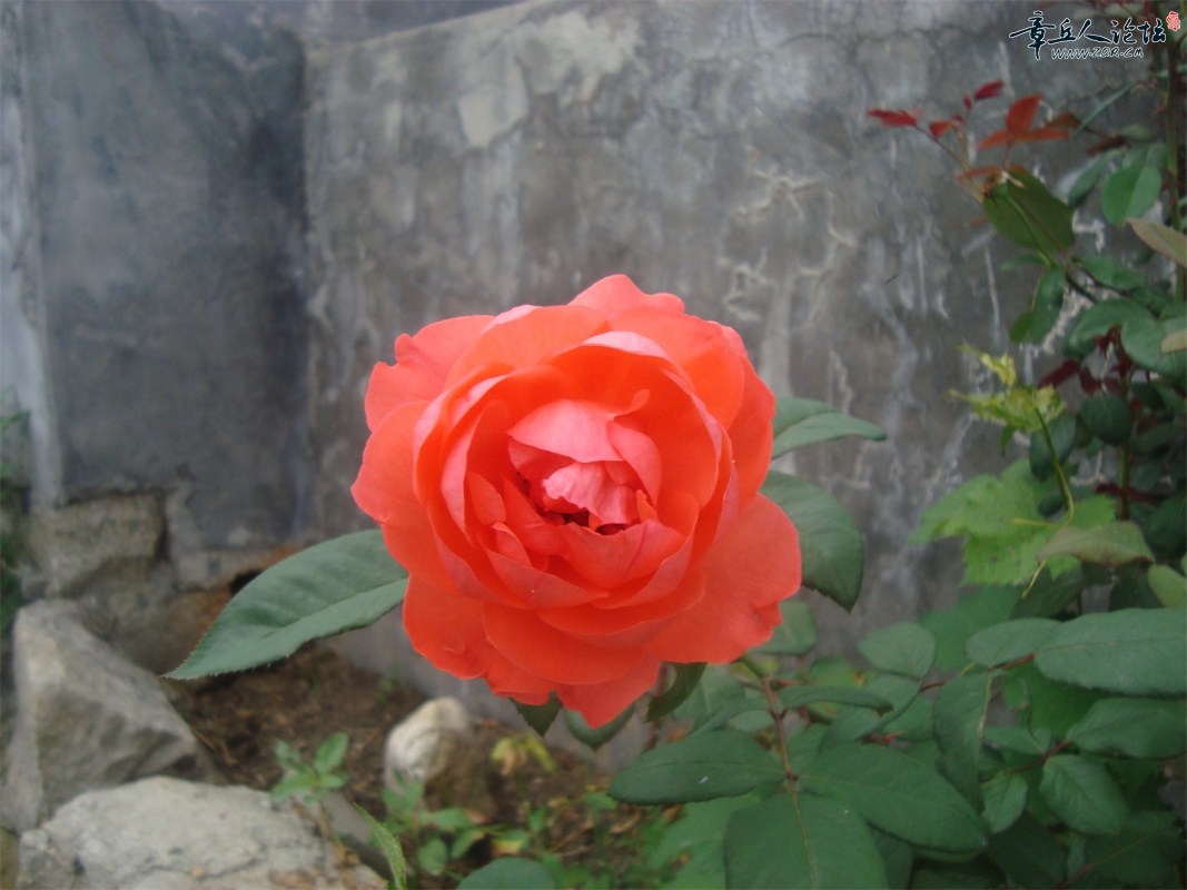 DSC07344.JPG