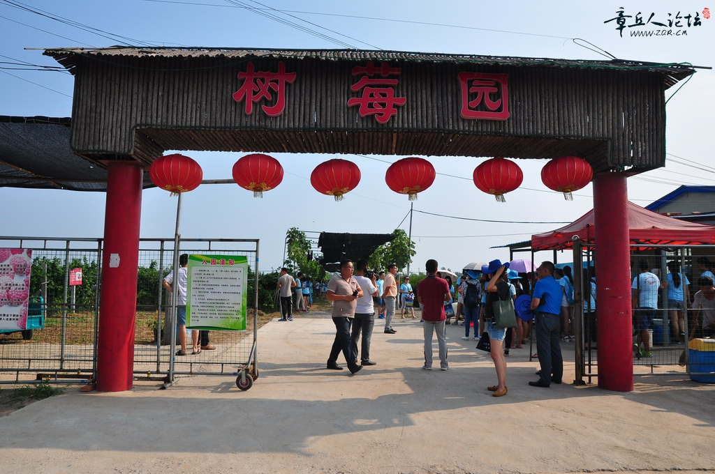 DSC_0251_调整大小.JPG