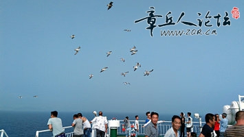 8月5日手机拍