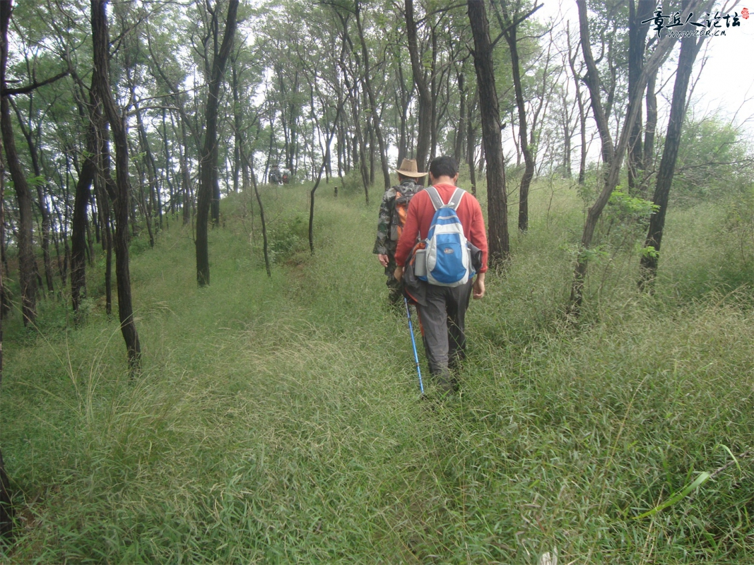 DSC08078.JPG