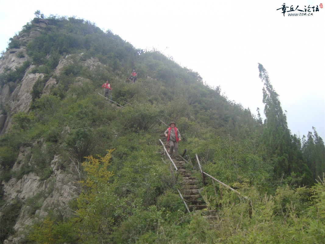DSC08117.JPG