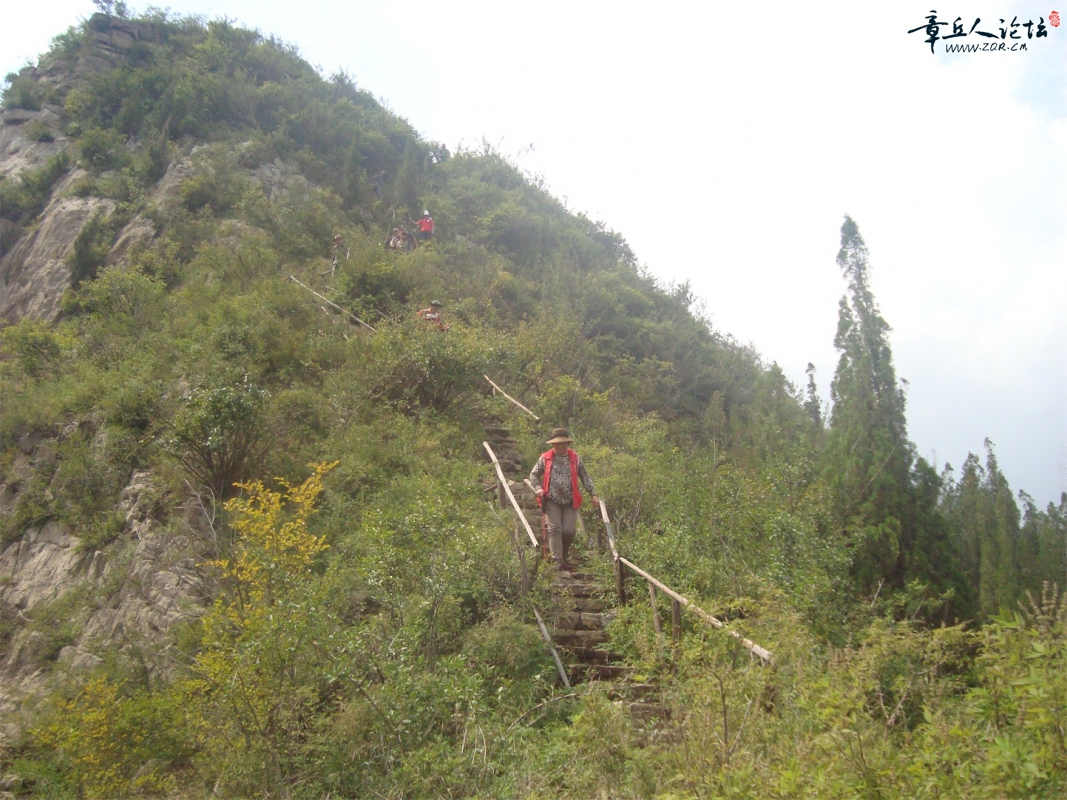 DSC08118.JPG