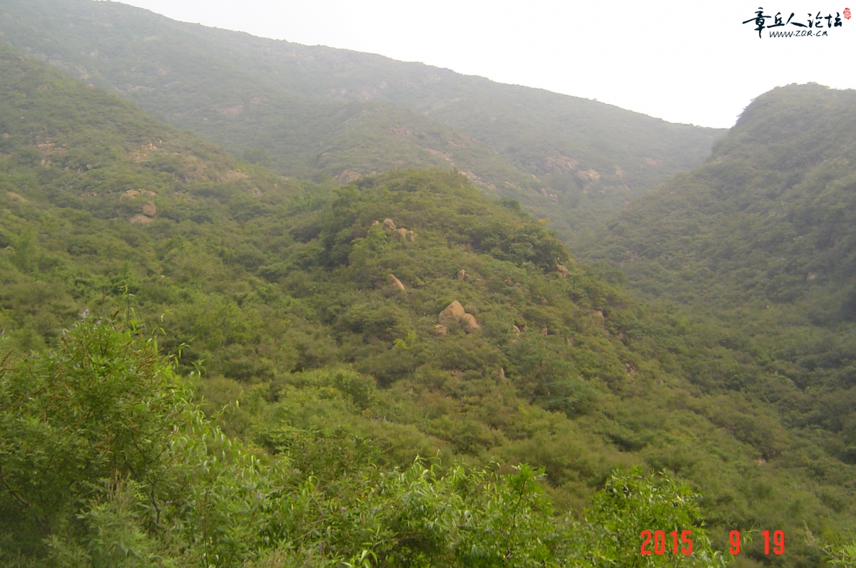 DSC00071.JPG