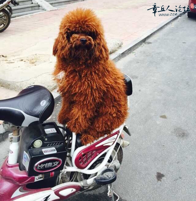 QQ图片20150613030442.jpg