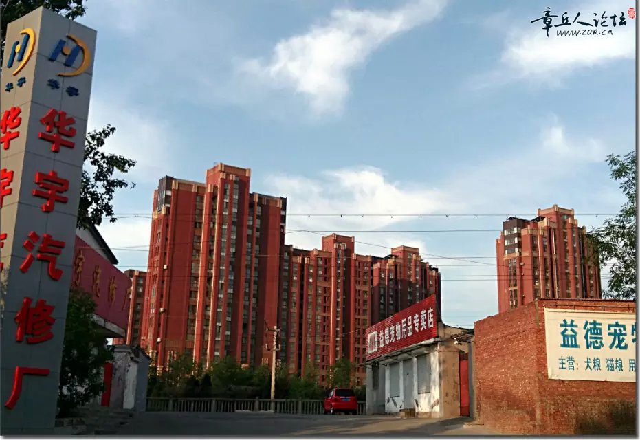 A005.jpg