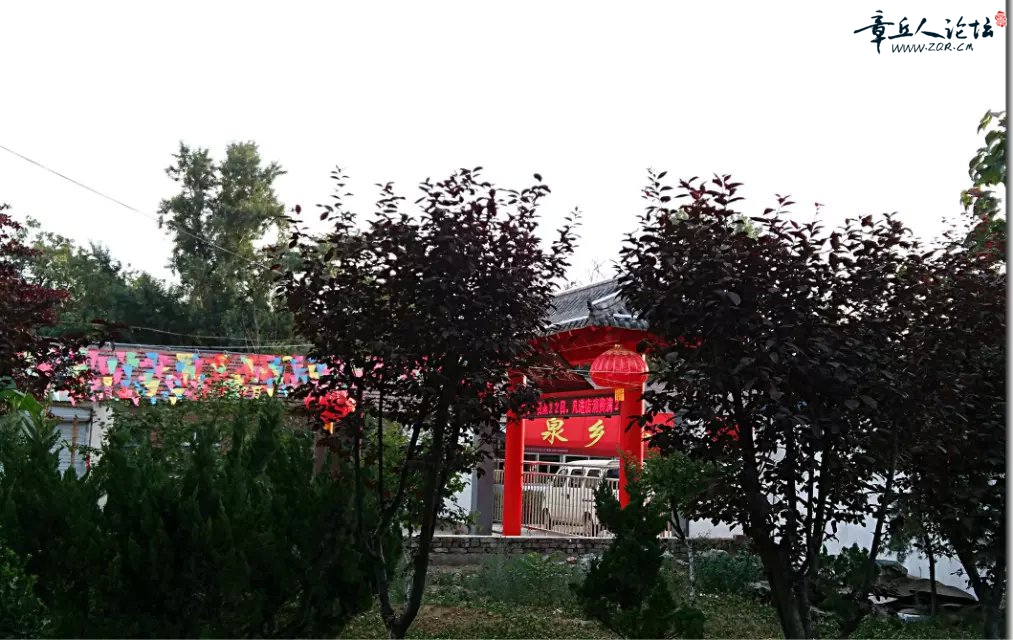 A006.jpg