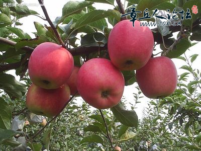 t01122b2296ec12bf8a.jpg