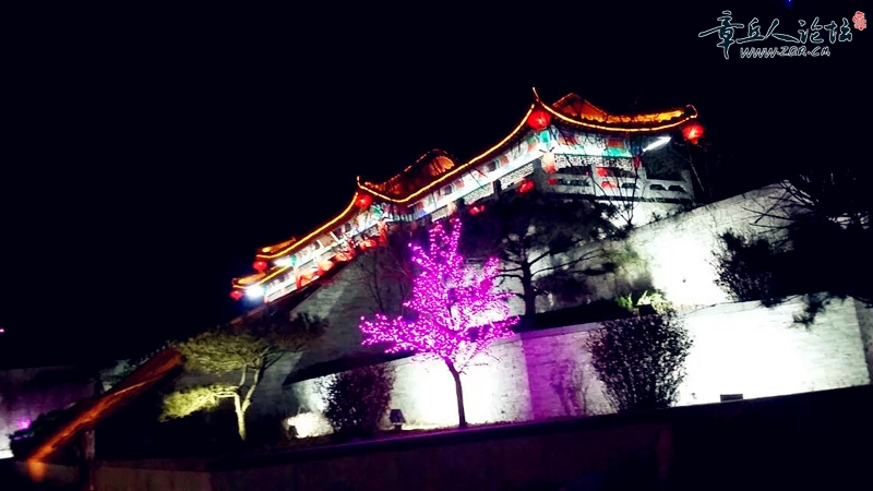 夜景7_副本.jpg