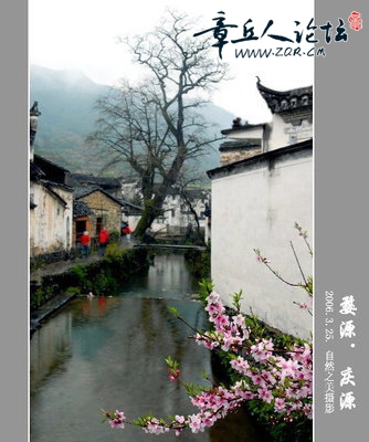 庆源9.jpg