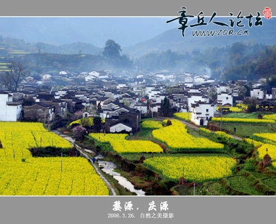 庆源8.jpg