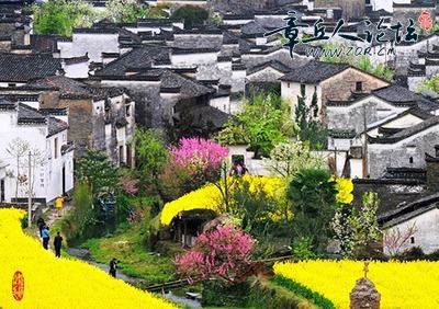庆源7.jpg