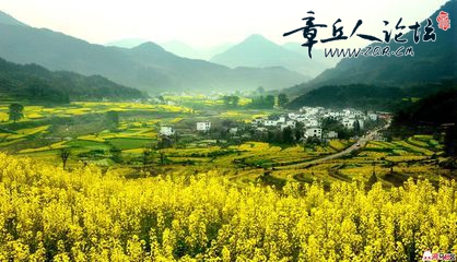 婺源4.jpg