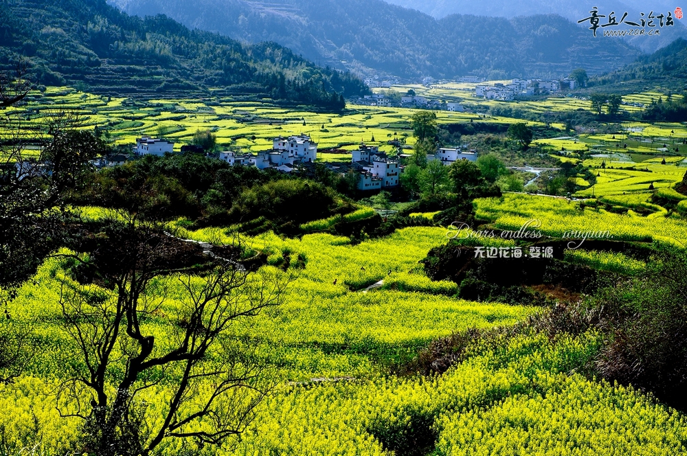 江陵4.jpg
