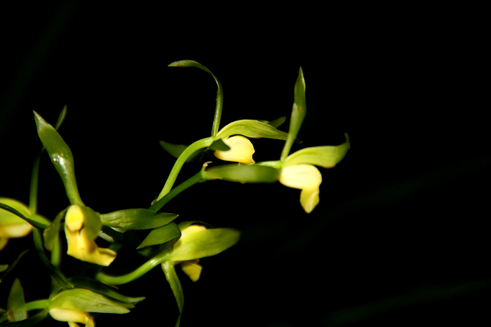 IMG_3647_副本.jpg
