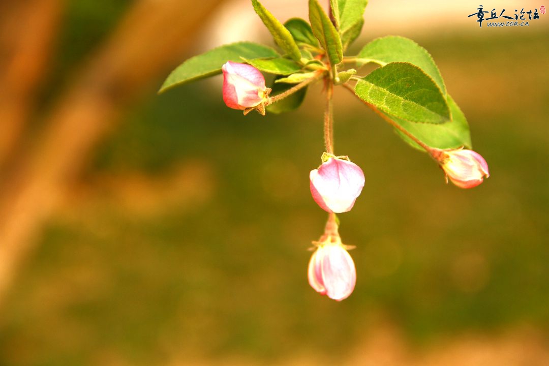 IMG_2796.JPG