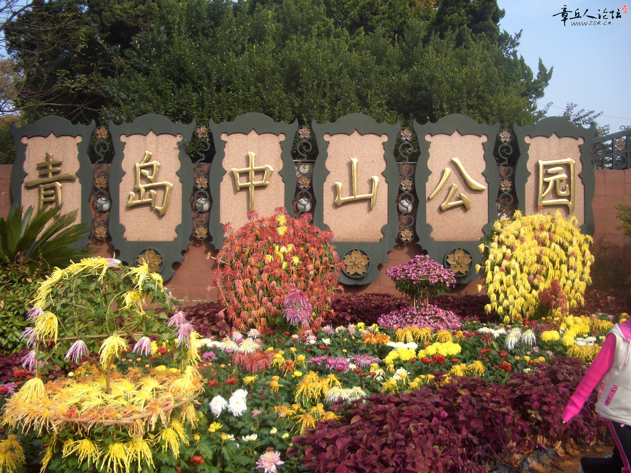 rdn_5138016f2d32e.jpg
