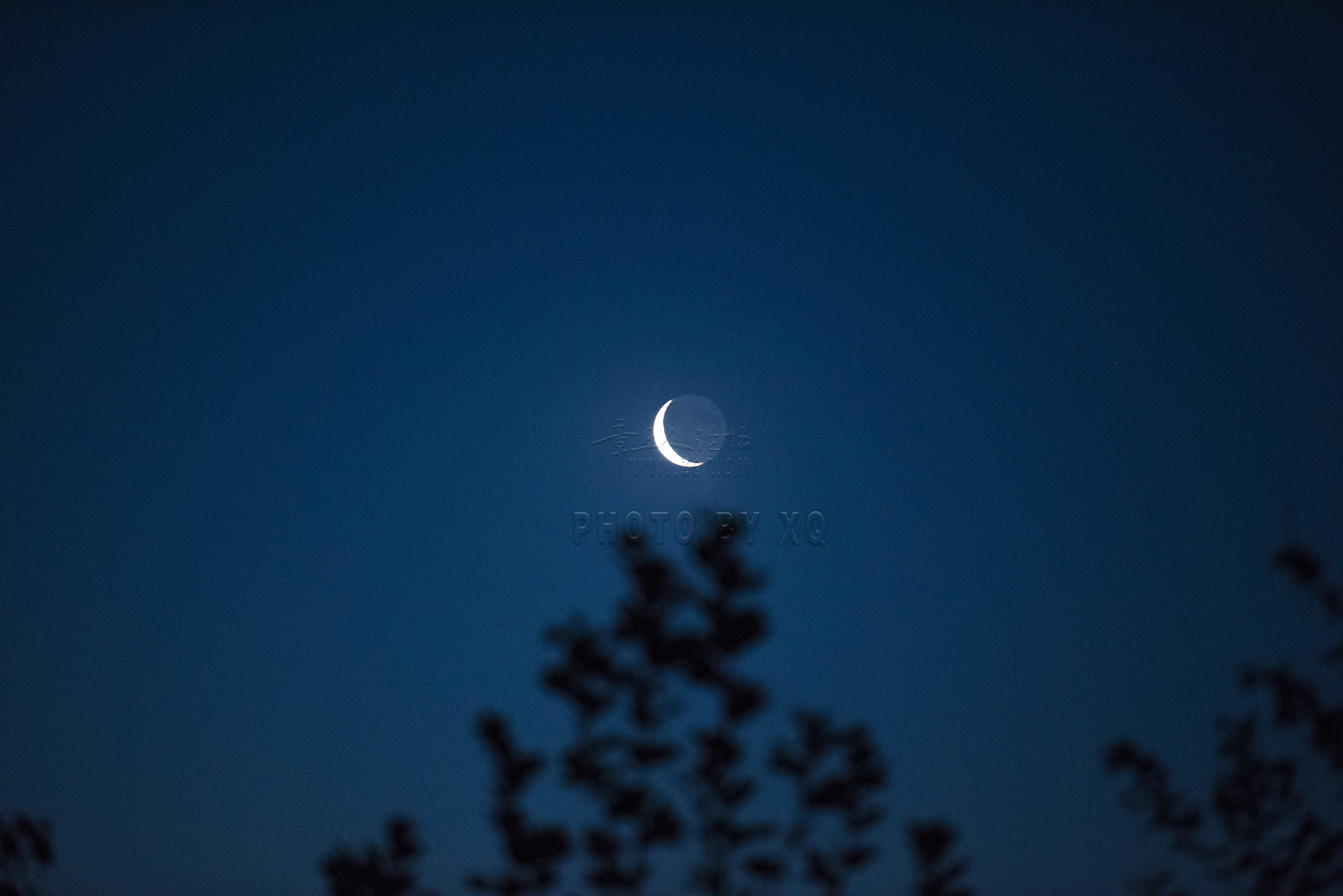 DSC_3972.jpg