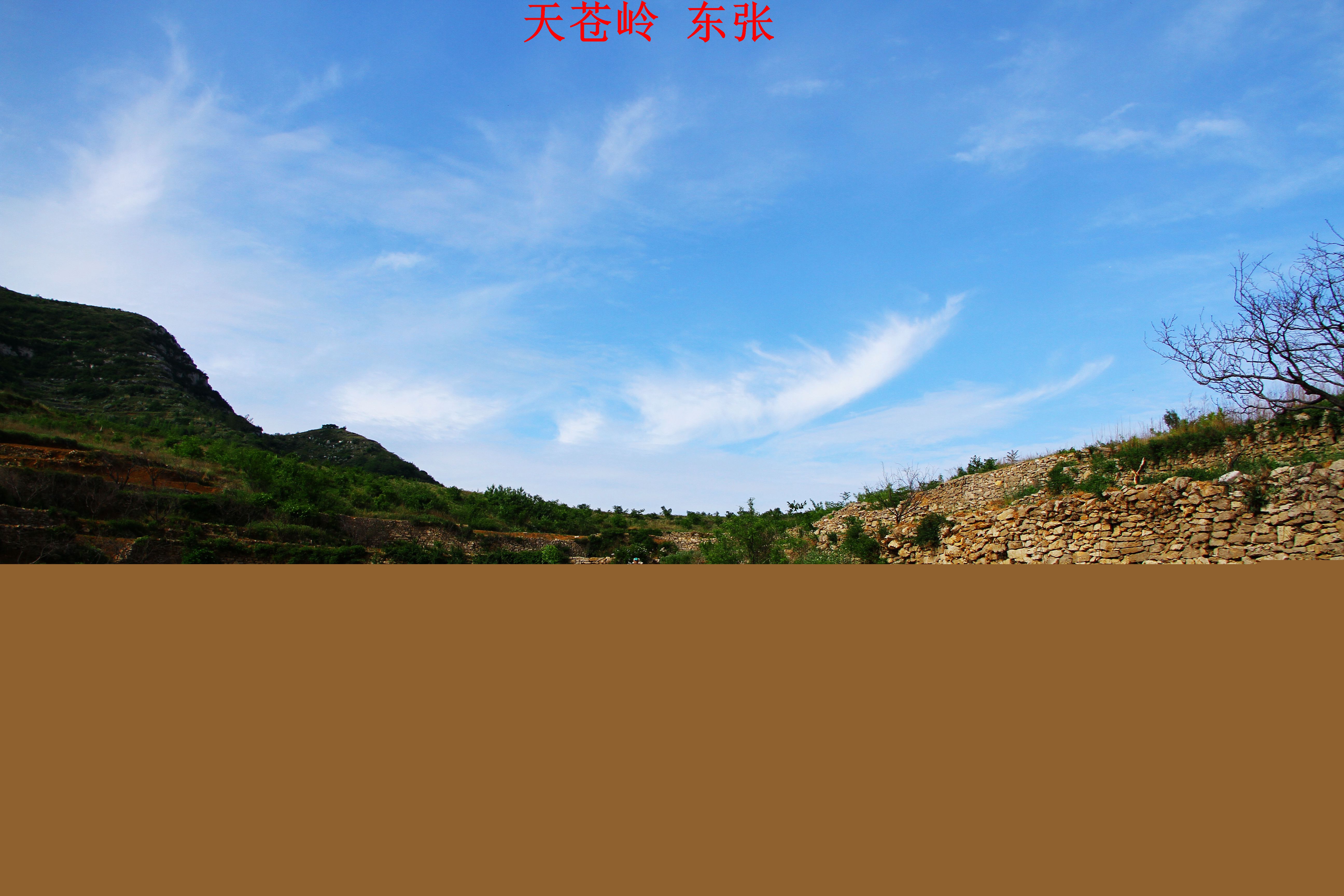 IMG_3810.JPG