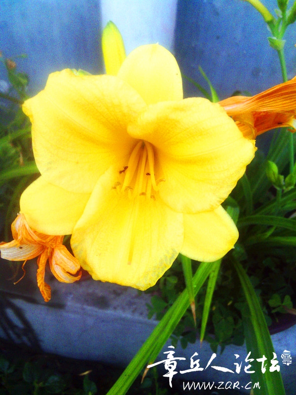 IMG_20160529_185515_0_副本.jpg
