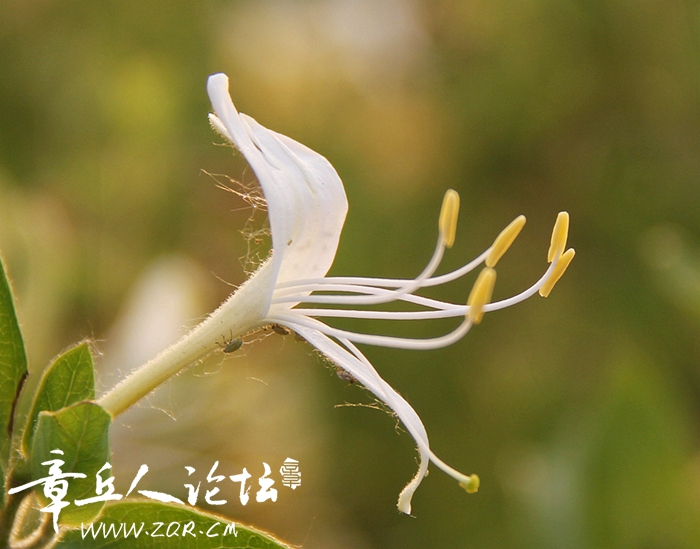 IMG_5895_副本_副本.jpg