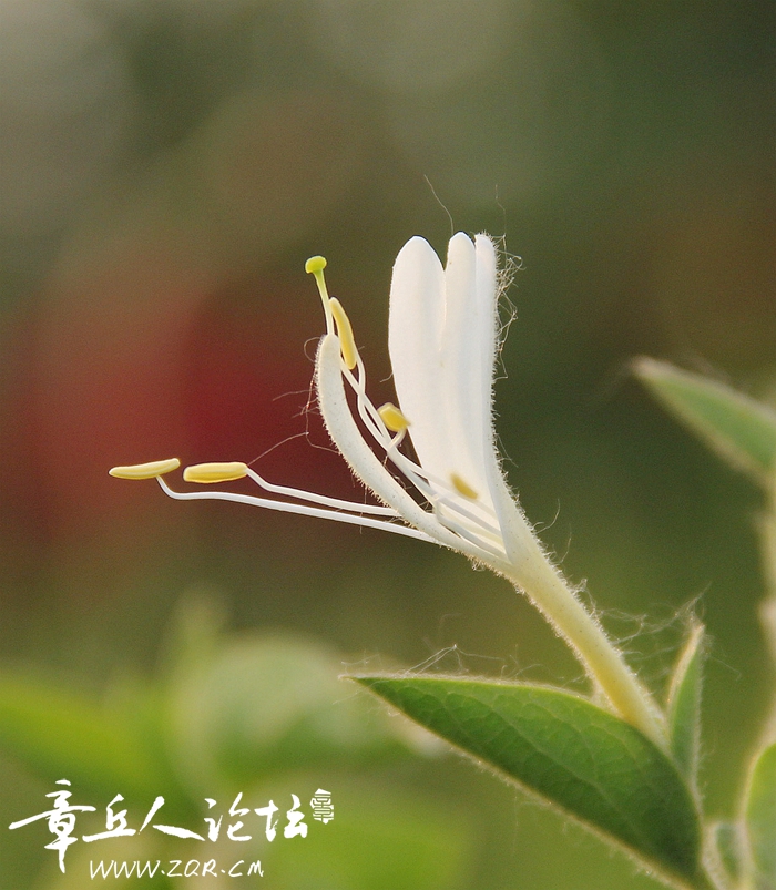 IMG_5892_副本_副本.jpg