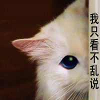 172511cqmmyvdmcc1ooy1p.jpg