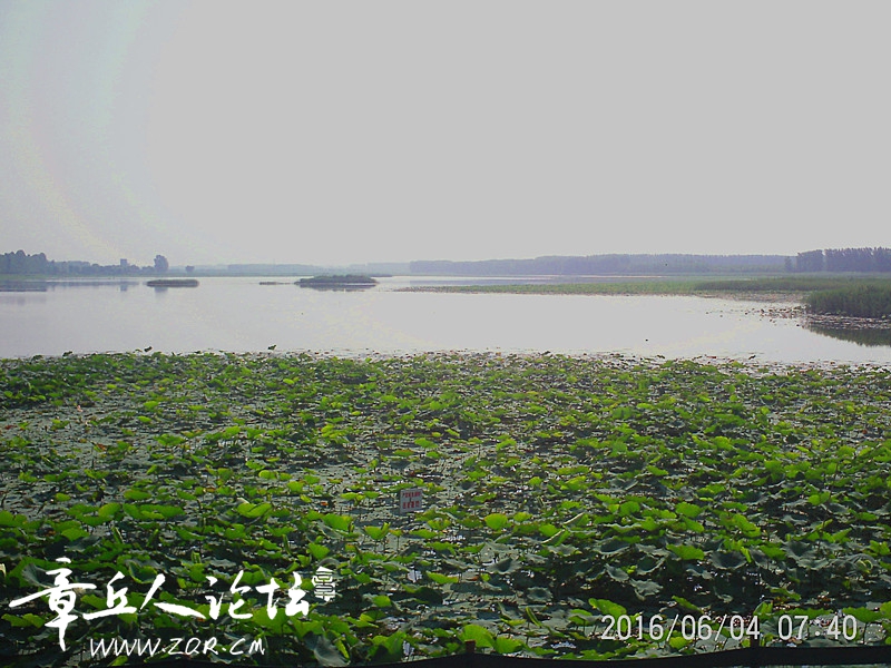 白云湖.jpg