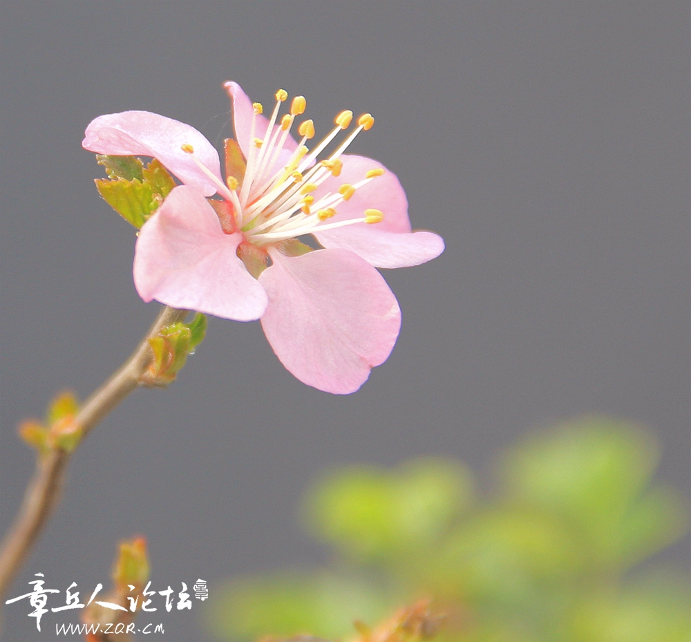 IMG_1271_副本_副本.jpg