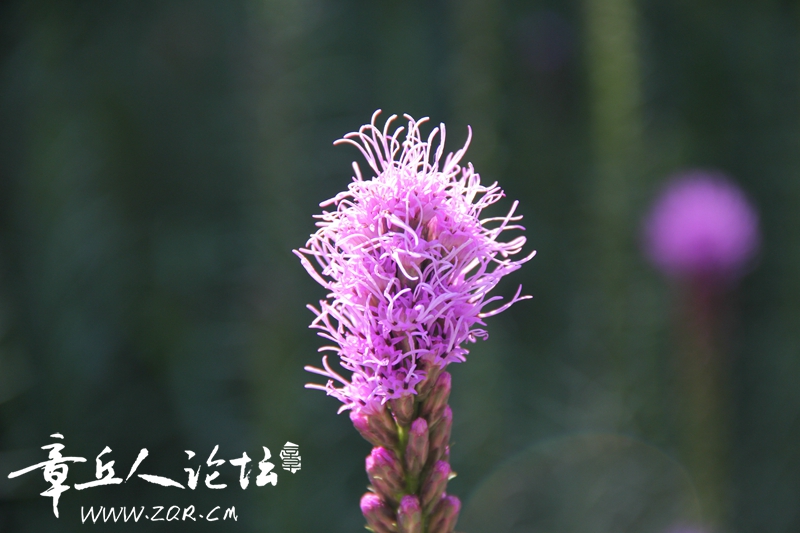 IMG_8264_副本_副本.jpg
