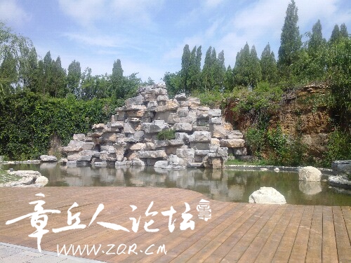 IMG_20160614_094846.jpg