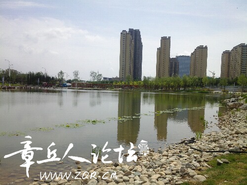 IMG_20160614_095710.jpg