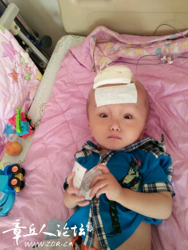 5mnGmomelSsI.jpg