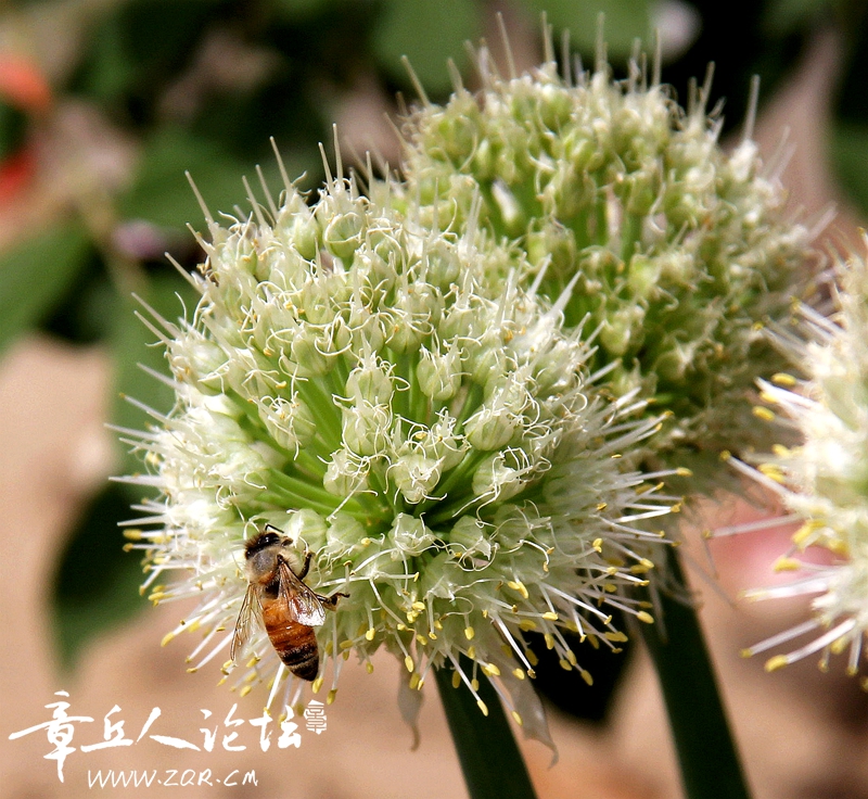 IMG_1884_副本.jpg