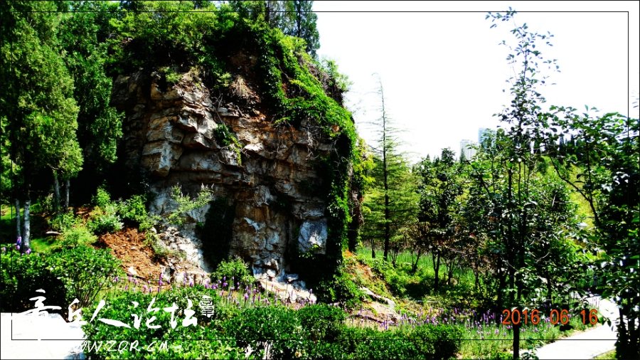 081613hgzqg1pcjzutj3zg.jpg