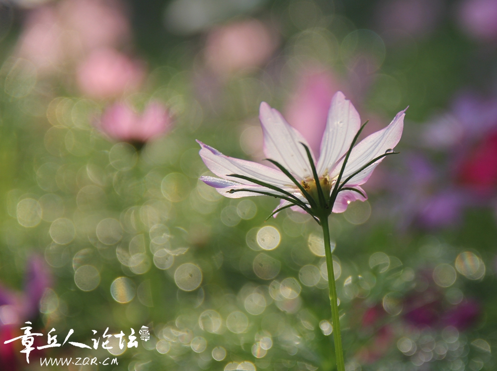IMG_1297_副本.jpg