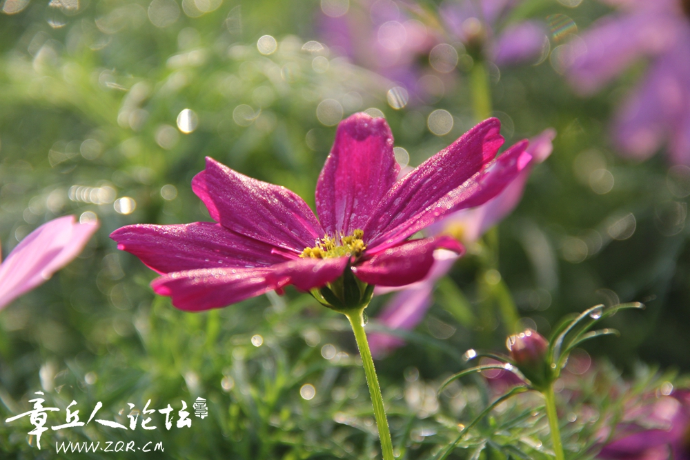 IMG_1298_副本.jpg