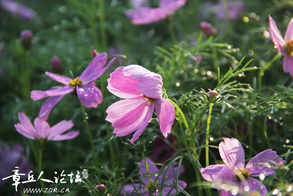 IMG_1301_副本.jpg