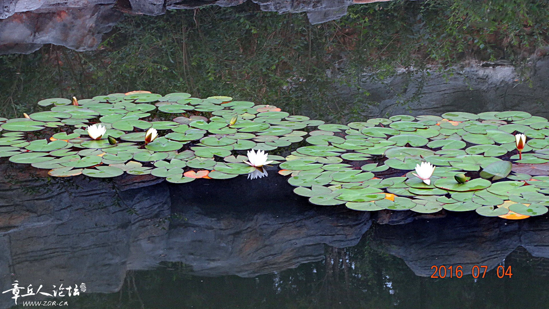 DSC09801.JPG
