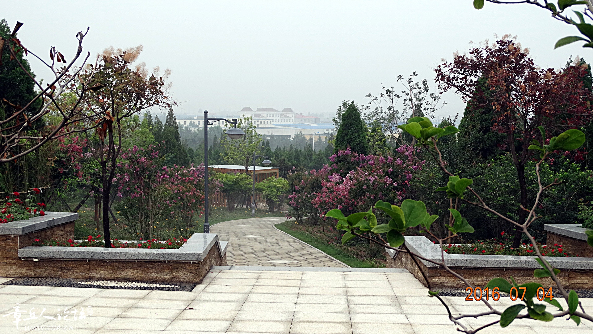 DSC09807.JPG