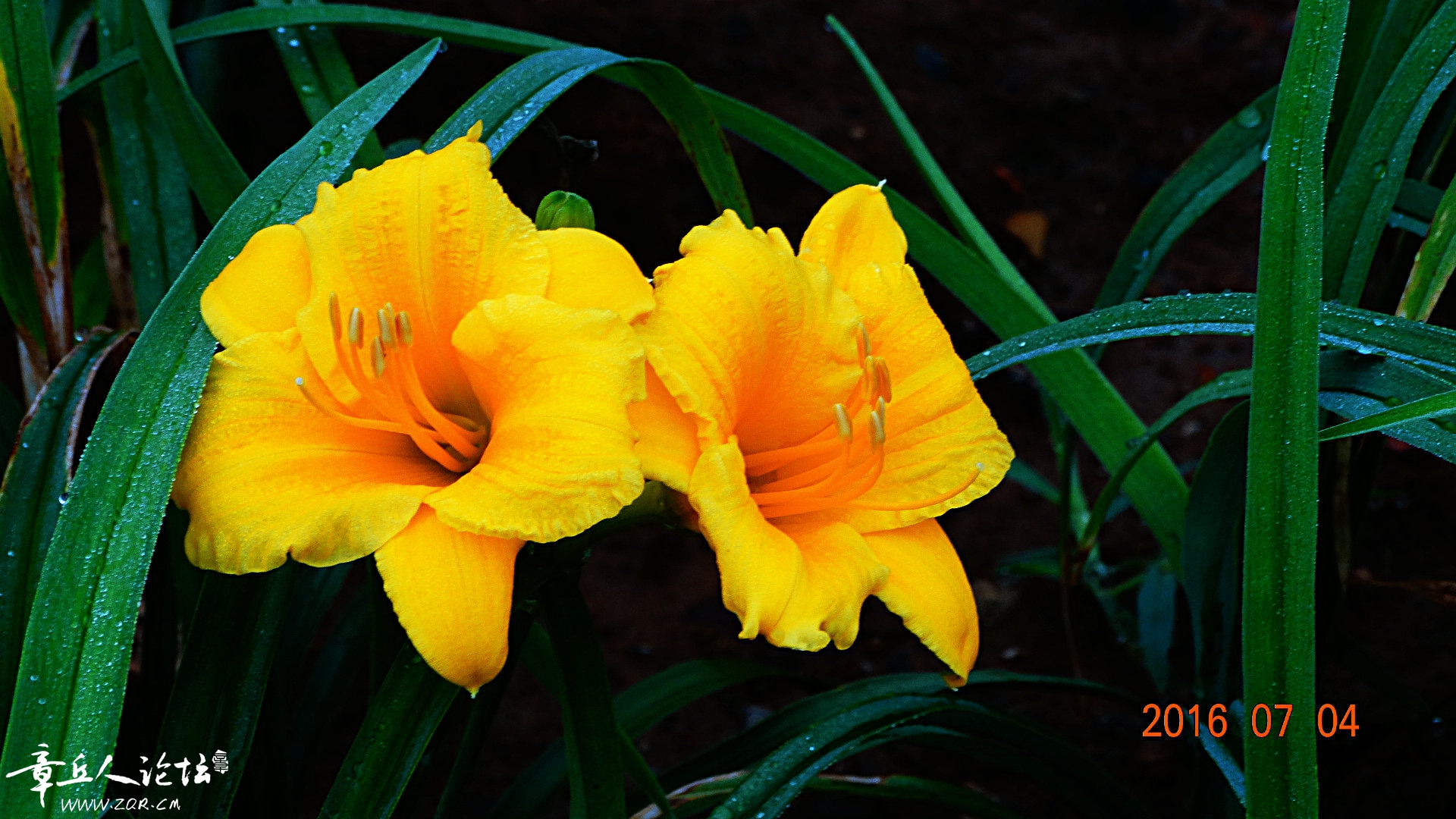 DSC09808.JPG